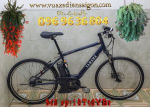 Xe đạp thể thao điện  Pas BracerX L